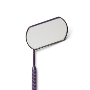 Lash Mirror